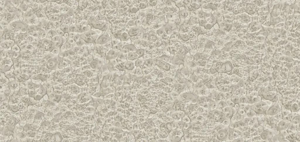 Текстура XJ-MB586